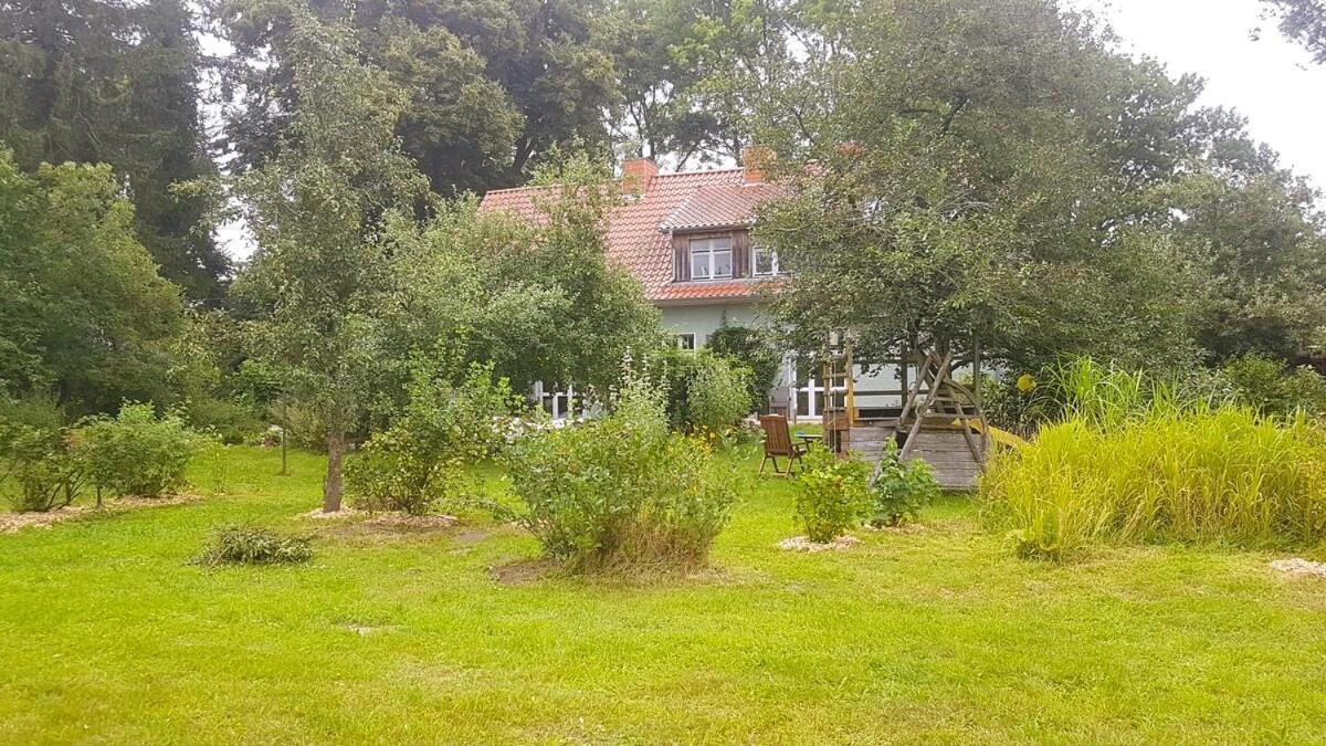 Ferienhaus Salvia Gremersdorf-Buchholz Esterno foto