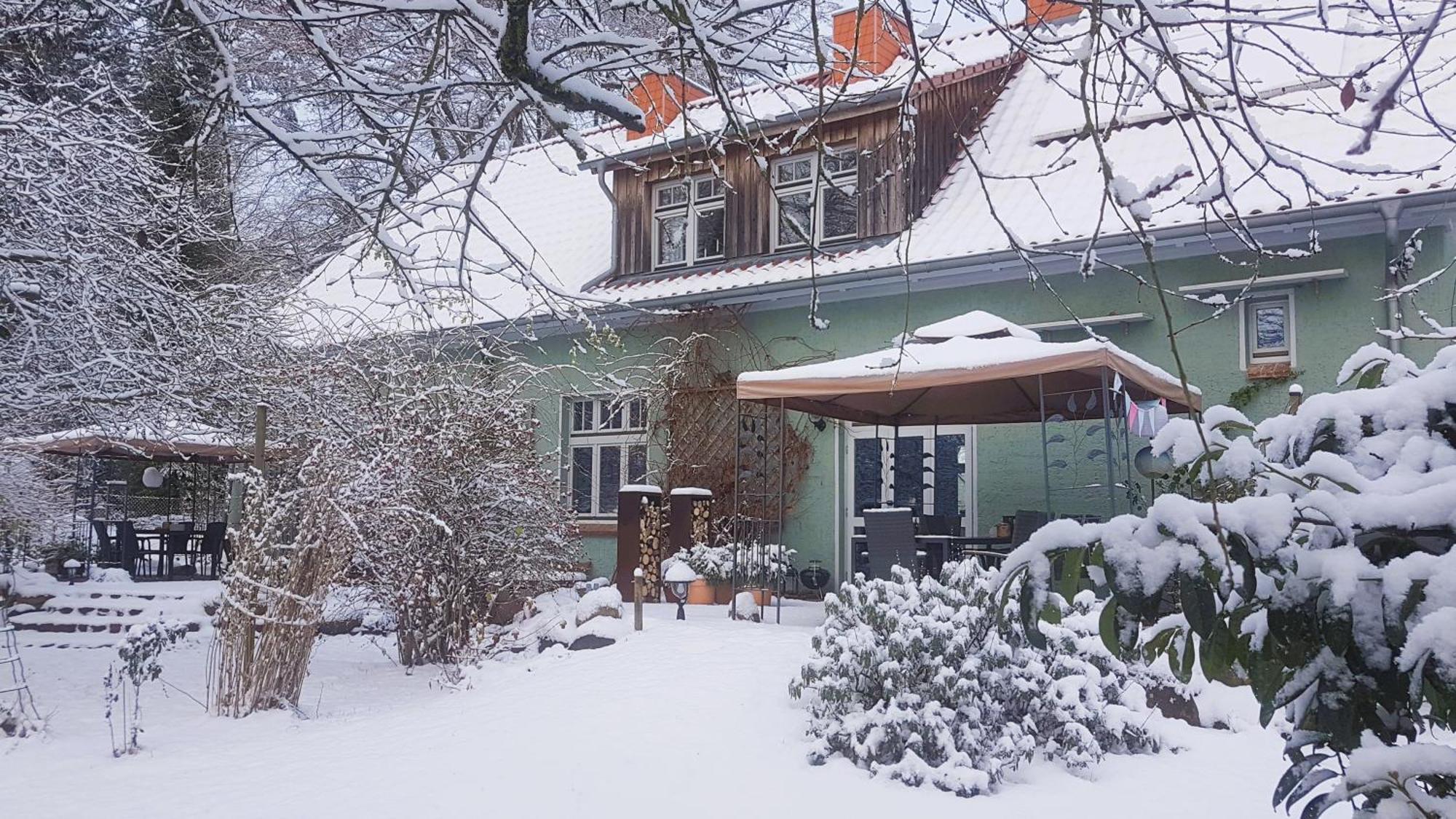 Ferienhaus Salvia Gremersdorf-Buchholz Esterno foto