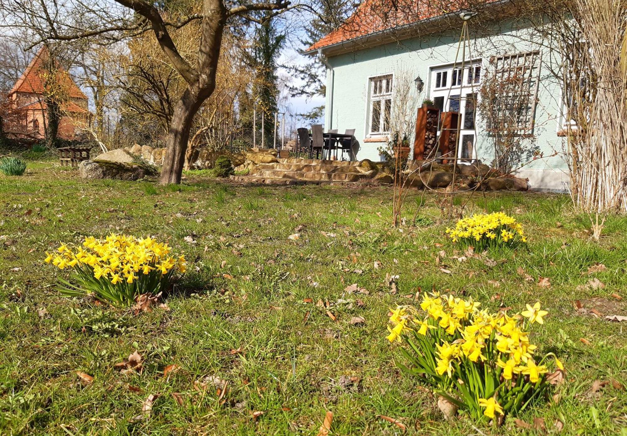 Ferienhaus Salvia Gremersdorf-Buchholz Esterno foto
