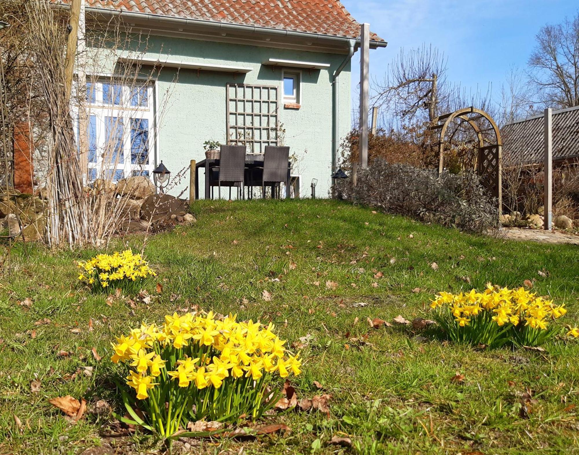 Ferienhaus Salvia Gremersdorf-Buchholz Esterno foto