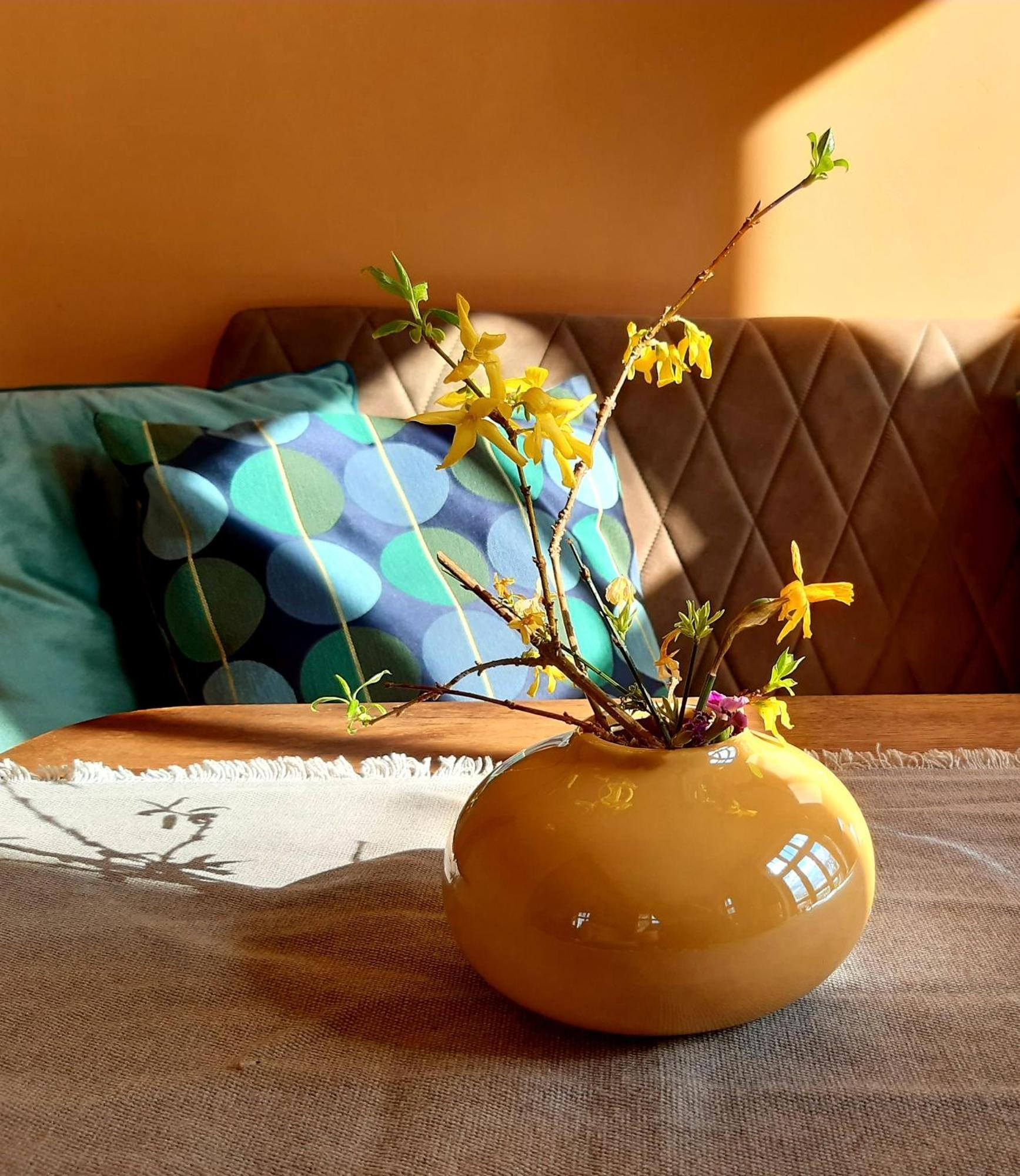 Ferienhaus Salvia Gremersdorf-Buchholz Esterno foto