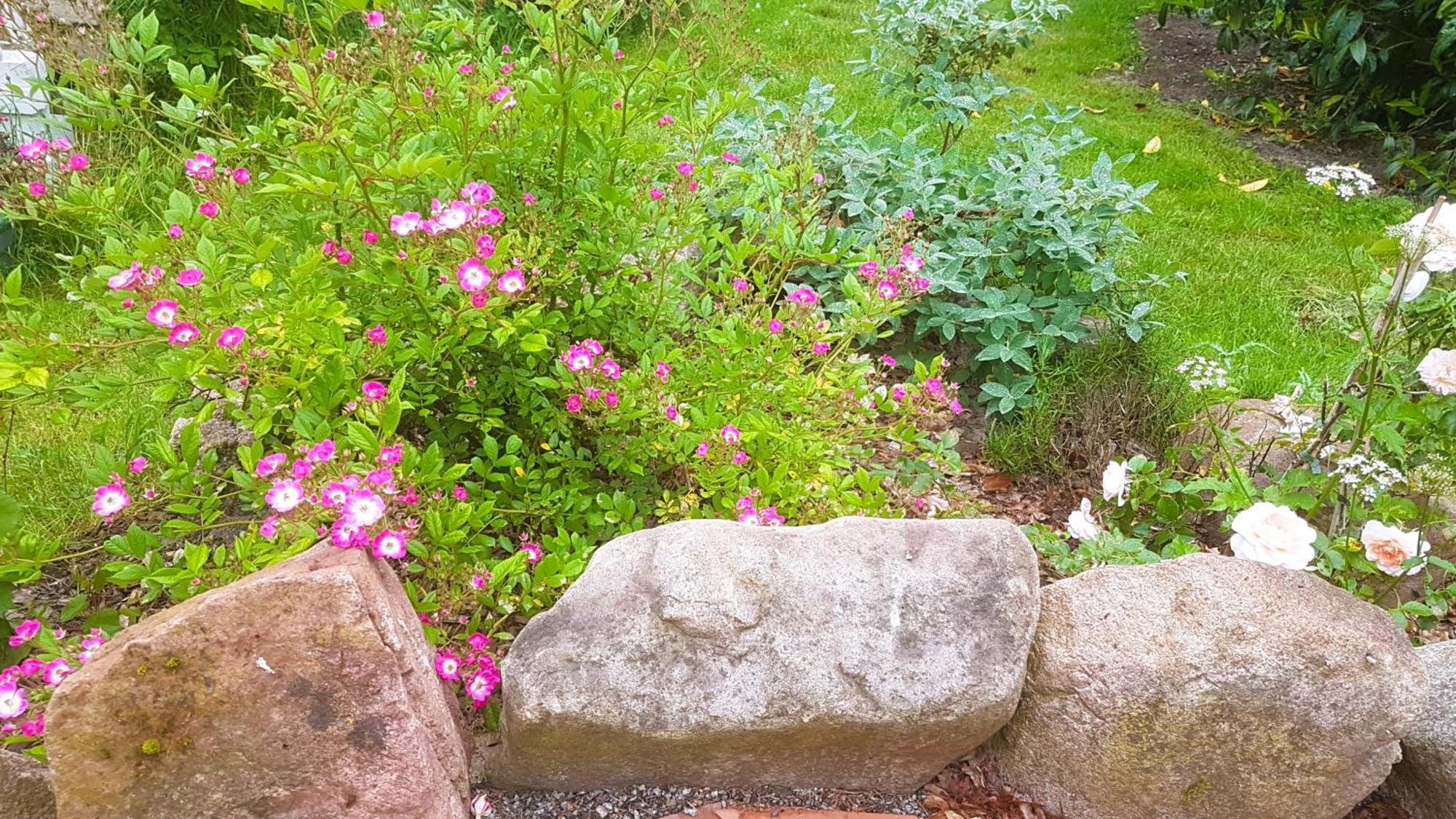 Ferienhaus Salvia Gremersdorf-Buchholz Esterno foto