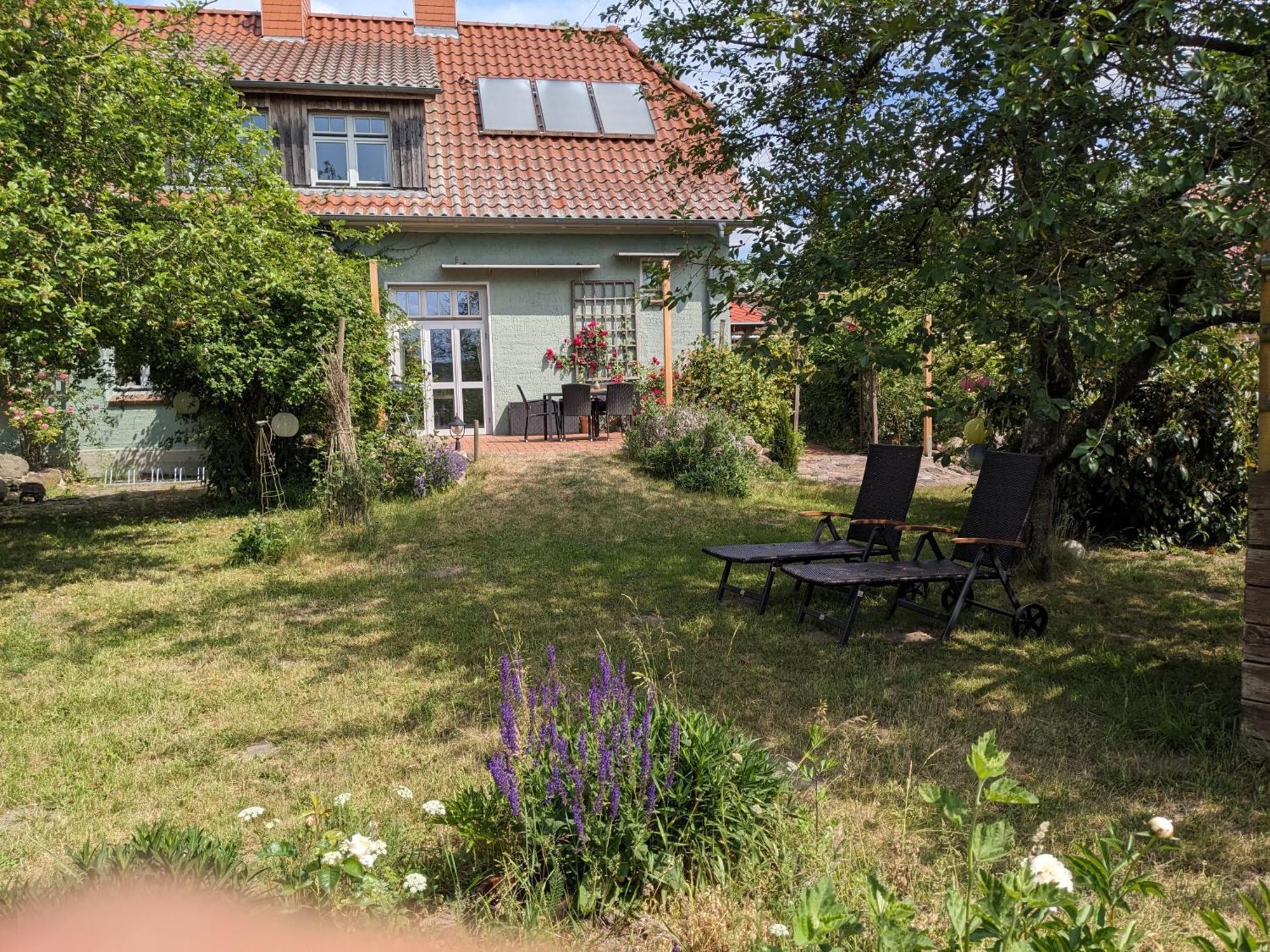 Ferienhaus Salvia Gremersdorf-Buchholz Esterno foto