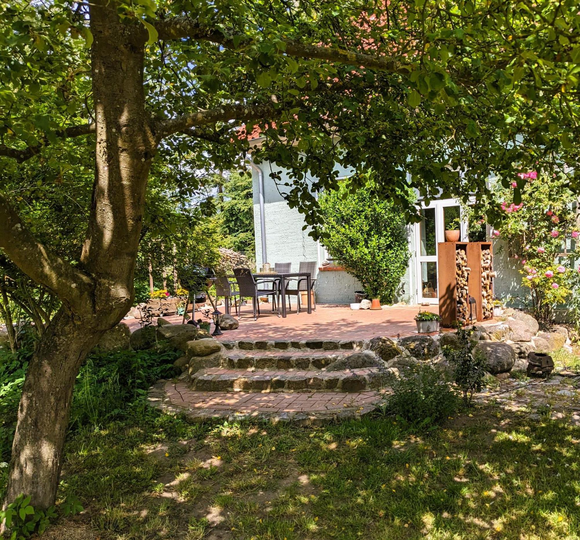 Ferienhaus Salvia Gremersdorf-Buchholz Esterno foto